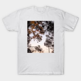early morning sunrise in the forest T-Shirt